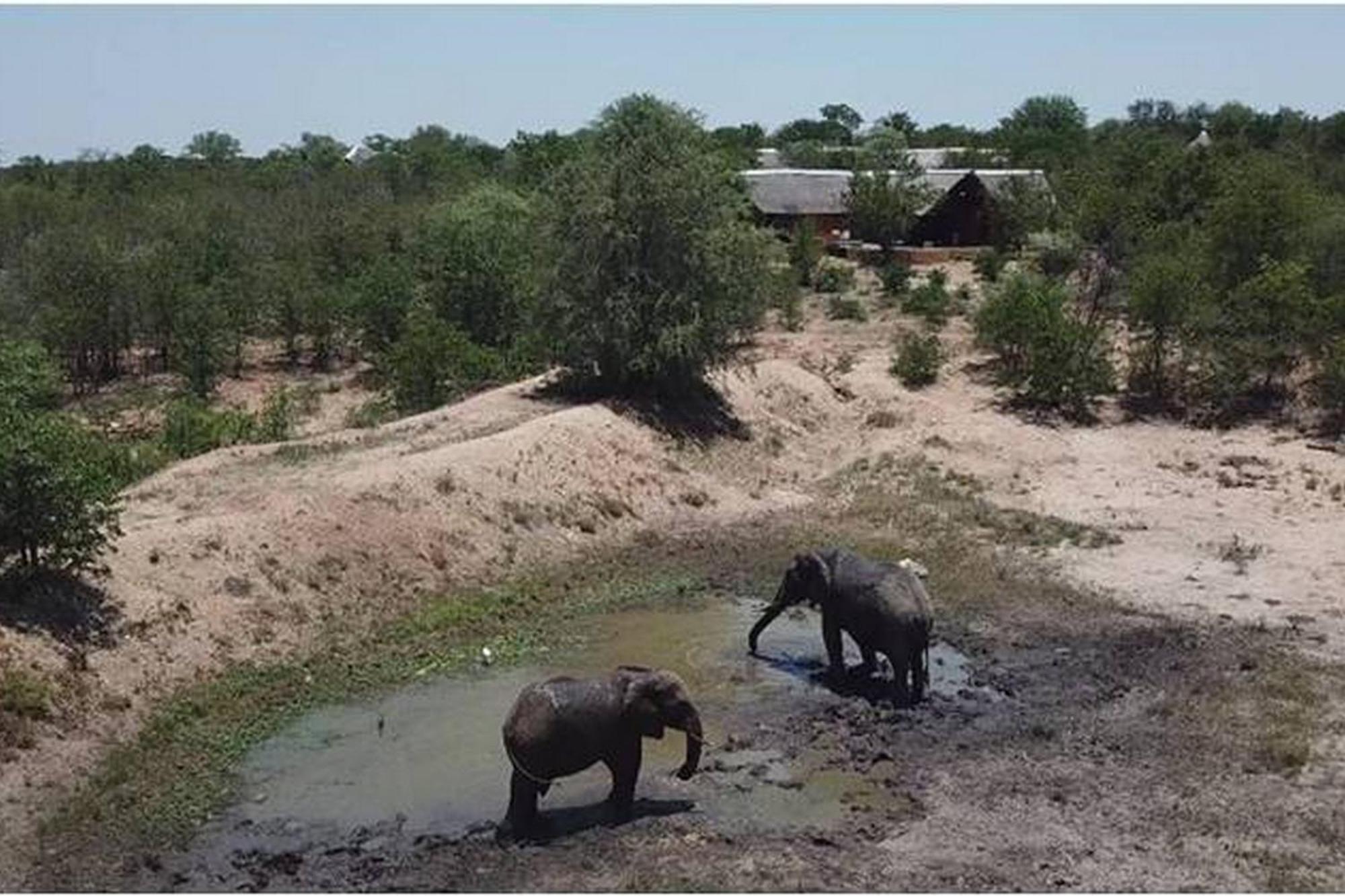 Bushvilla Umoja Kruger Phalaborwa Exterior foto